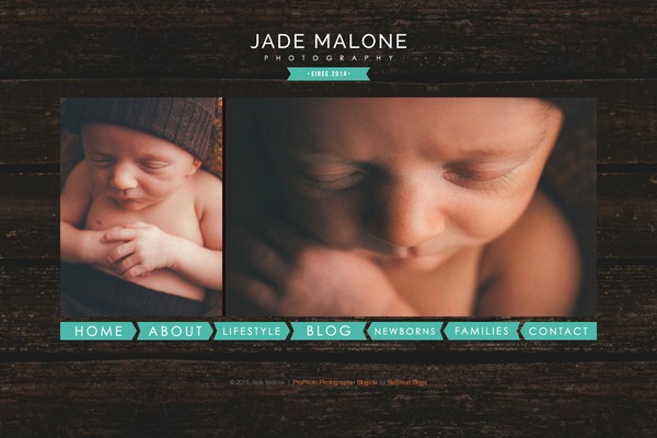 ProPhoto 5 theme site design template sample