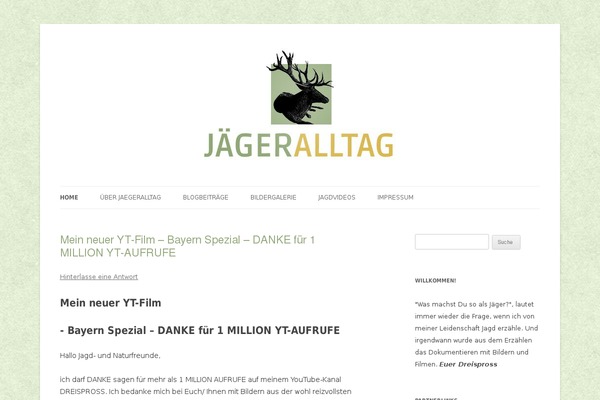 WordPress website example screenshot