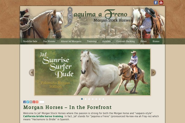 Site using Perfmatters plugin