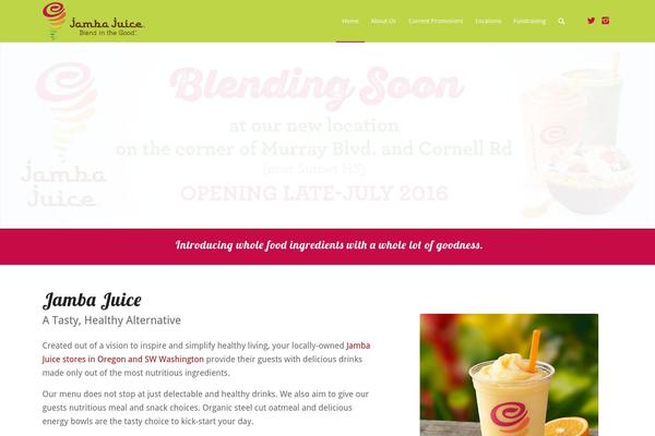 Enfold theme site design template sample