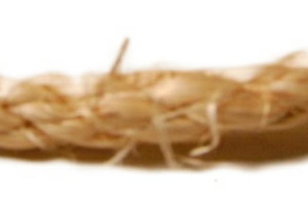 Twenty Seventeen theme site design template sample