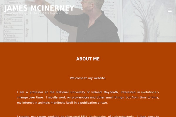 jamesmcinerney.ie site used Ink_old