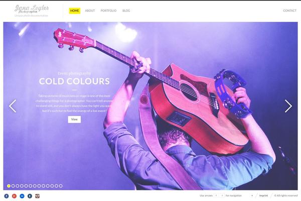 Fluxus theme site design template sample