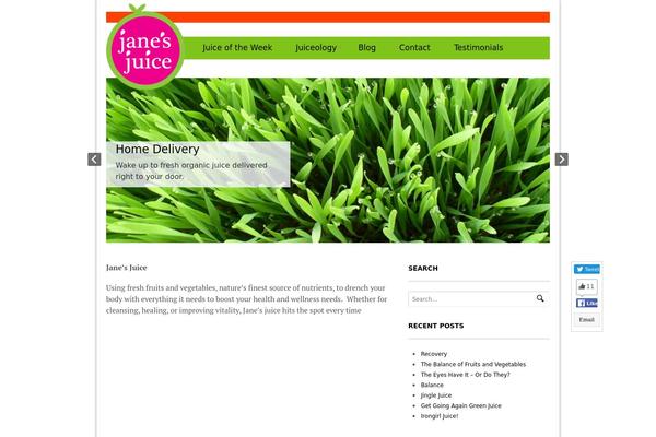WordPress website example screenshot