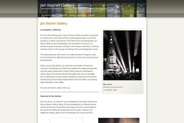 jankesnergallery.com site used Glued-ideas-subtle-01