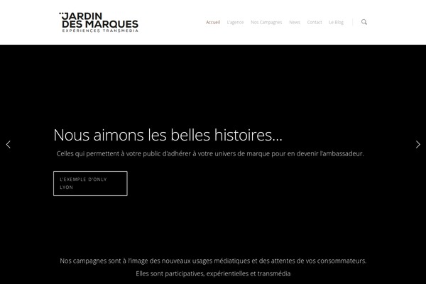 Salient theme site design template sample