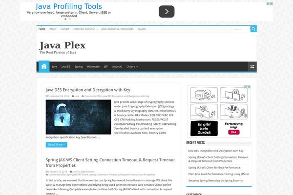 WordPress website example screenshot