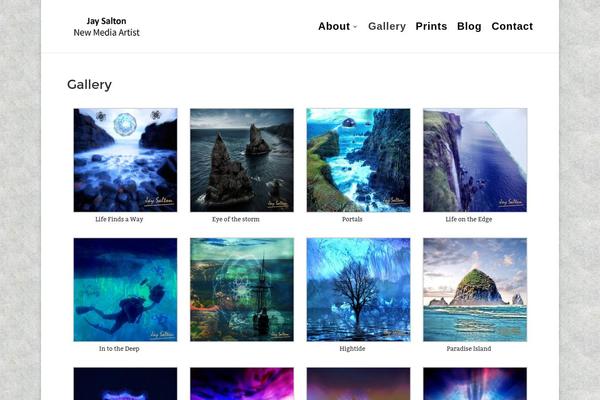 WordPress website example screenshot