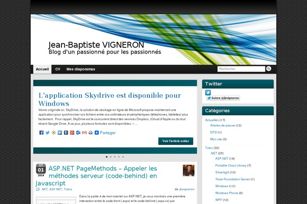 WordPress website example screenshot