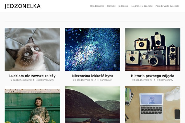 jedzonelka.pl site used Techkit
