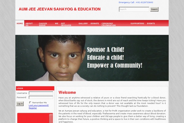 donate theme websites examples