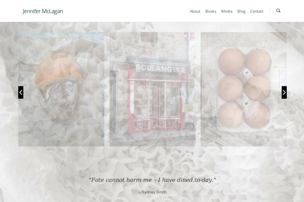 Salient theme site design template sample