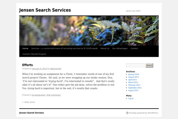 WordPress website example screenshot
