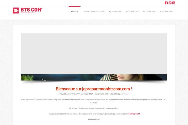 WordPress website example screenshot