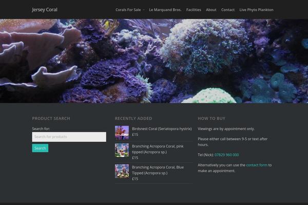 Salient theme site design template sample