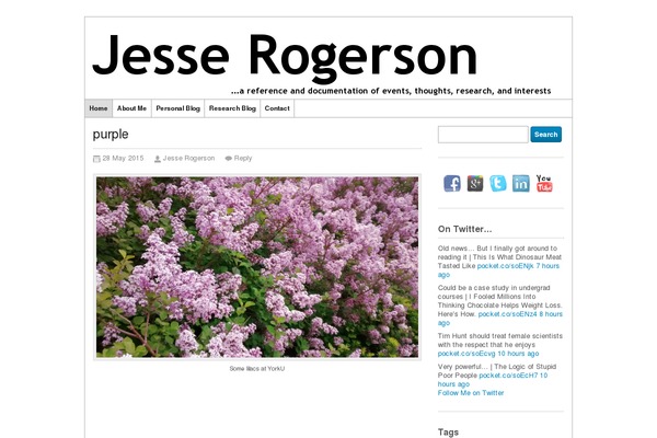 jesserogerson.com site used Desire-custom