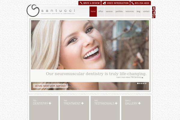 santucci theme websites examples