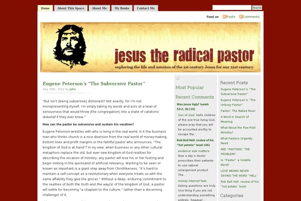 jesustheradicalpastor.com site used Mistylook-2sidebars2