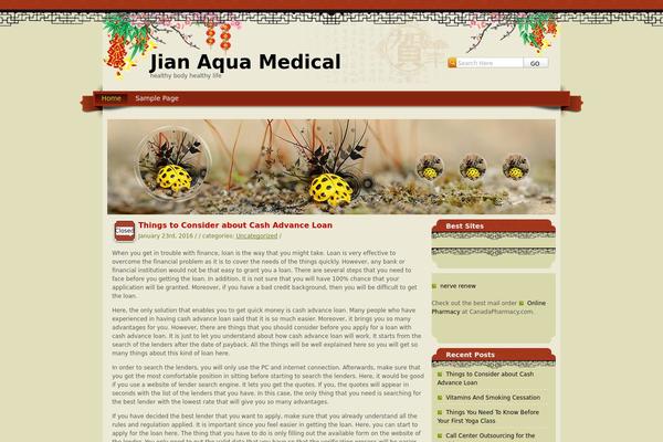 WordPress website example screenshot