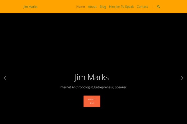 Salient theme site design template sample
