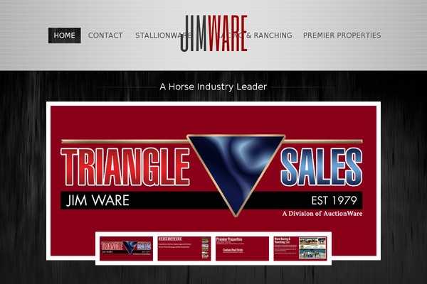 jimware.net site used Theme1758