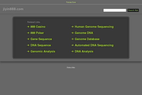WordPress website example screenshot