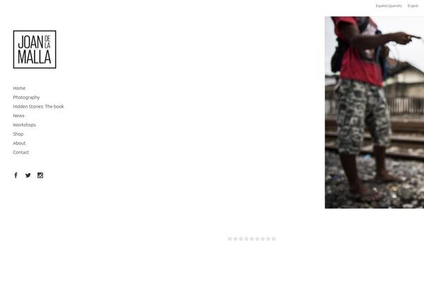 Site using WooCommerce Multilingual - run WooCommerce with WPML plugin