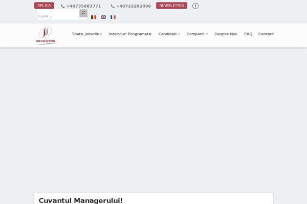 Avada theme site design template sample