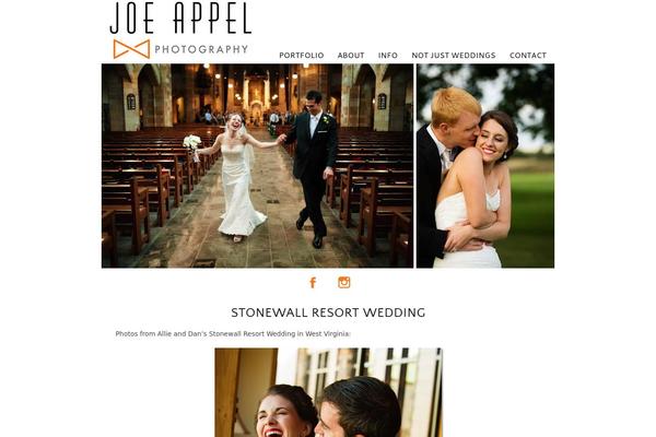 WordPress website example screenshot
