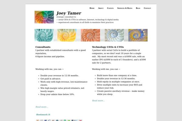 joeytamer.com site used Joeytamerpremium