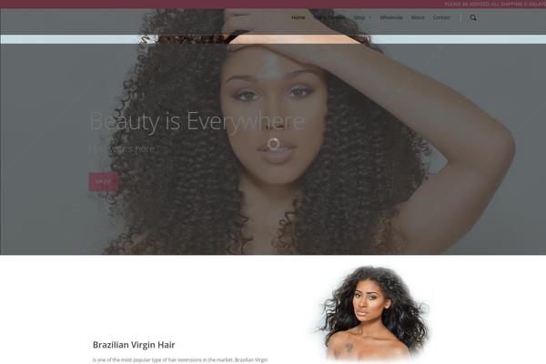 Salient theme site design template sample