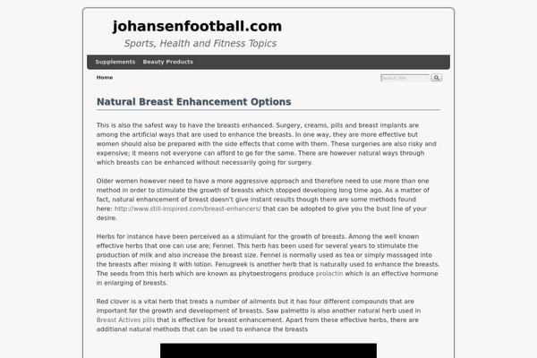 WordPress website example screenshot