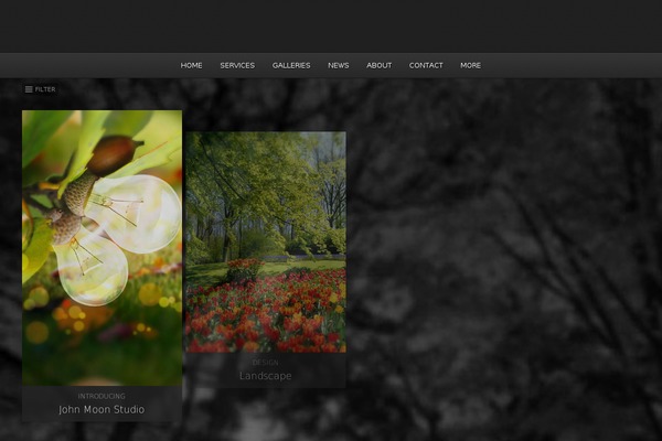 Photolux theme site design template sample