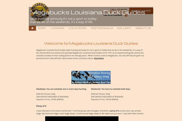 johnnywink.com site used Theme-wsm