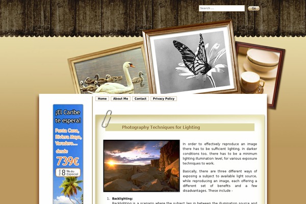 Photoframe theme site design template sample