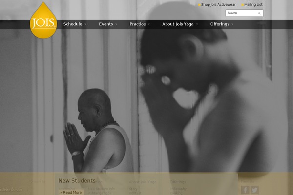 joisyoga.com site used Toddmotto-html5-blank-wordpress-theme-03e0298