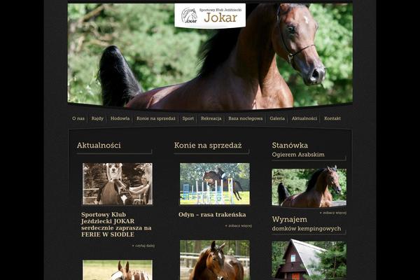 jokar.pl site used Jokar