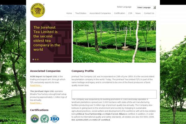 Site using Google Language Translator plugin