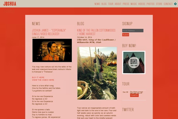 WordPress website example screenshot