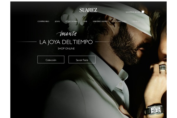 Suarez theme websites examples