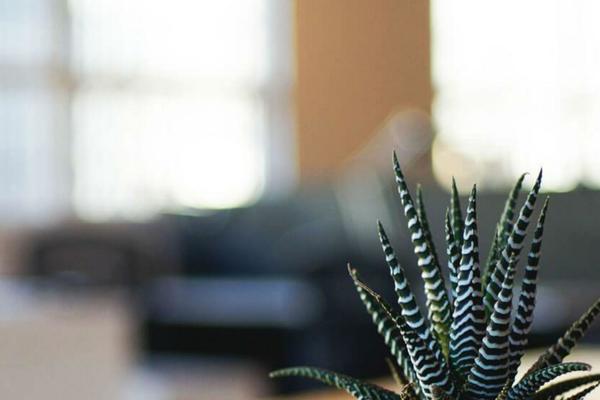 Twenty Seventeen theme site design template sample