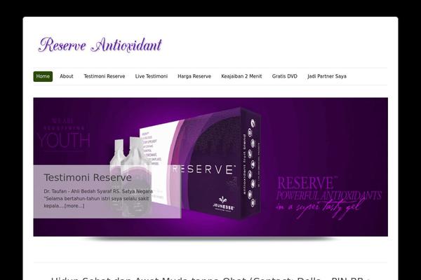 WordPress website example screenshot