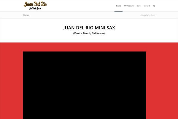 Enfold theme site design template sample