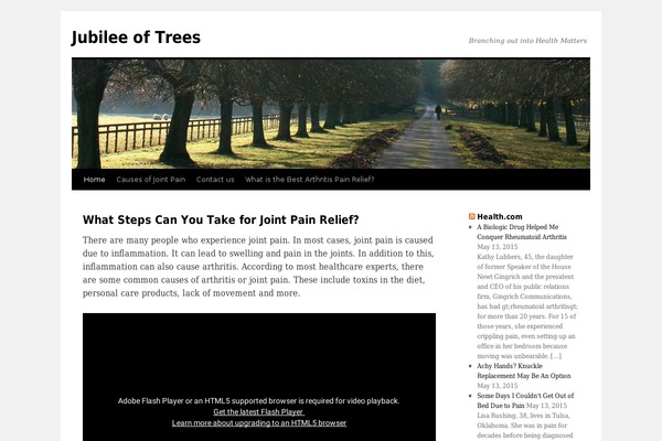WordPress website example screenshot