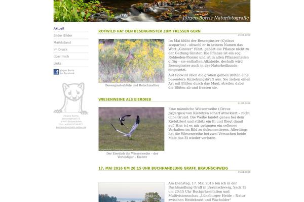 Enfold theme site design template sample