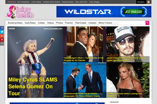 celebritygossip-singlepro theme websites examples