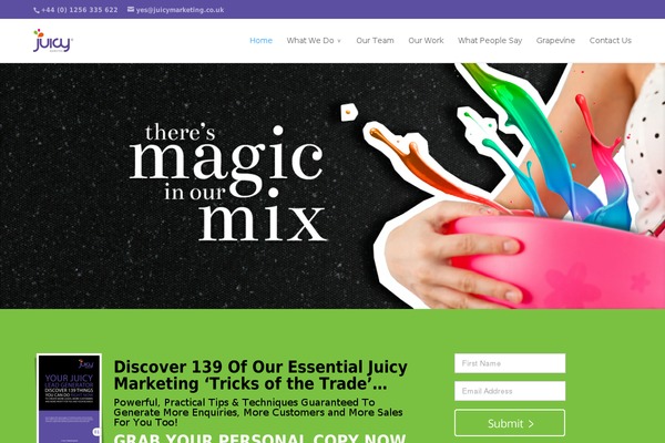 juicy-child theme websites examples