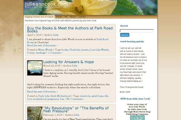julieanncook.com site used Ambition