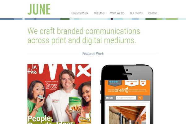 WordPress website example screenshot