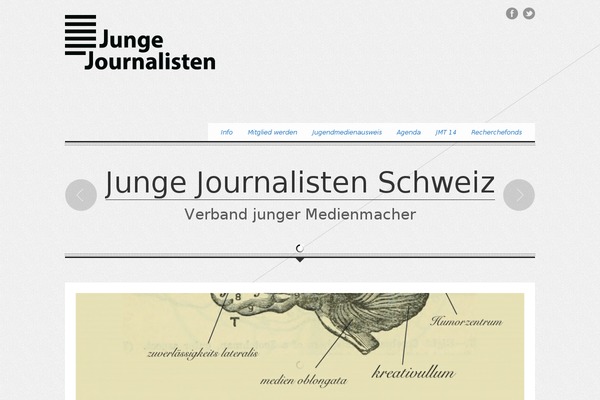 jungejournalisten.ch site used Theartist-v1_01